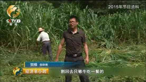 銀子多少錢一克回收(銀子多少錢一克回收2023)