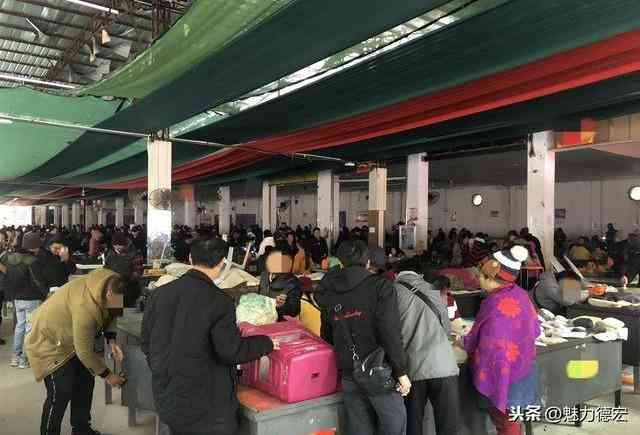 玻璃種翡翠怎么看真假(玻璃種翡翠怎么看翠性)