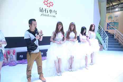 鉆石小鳥市值(鉆石小鳥估值)