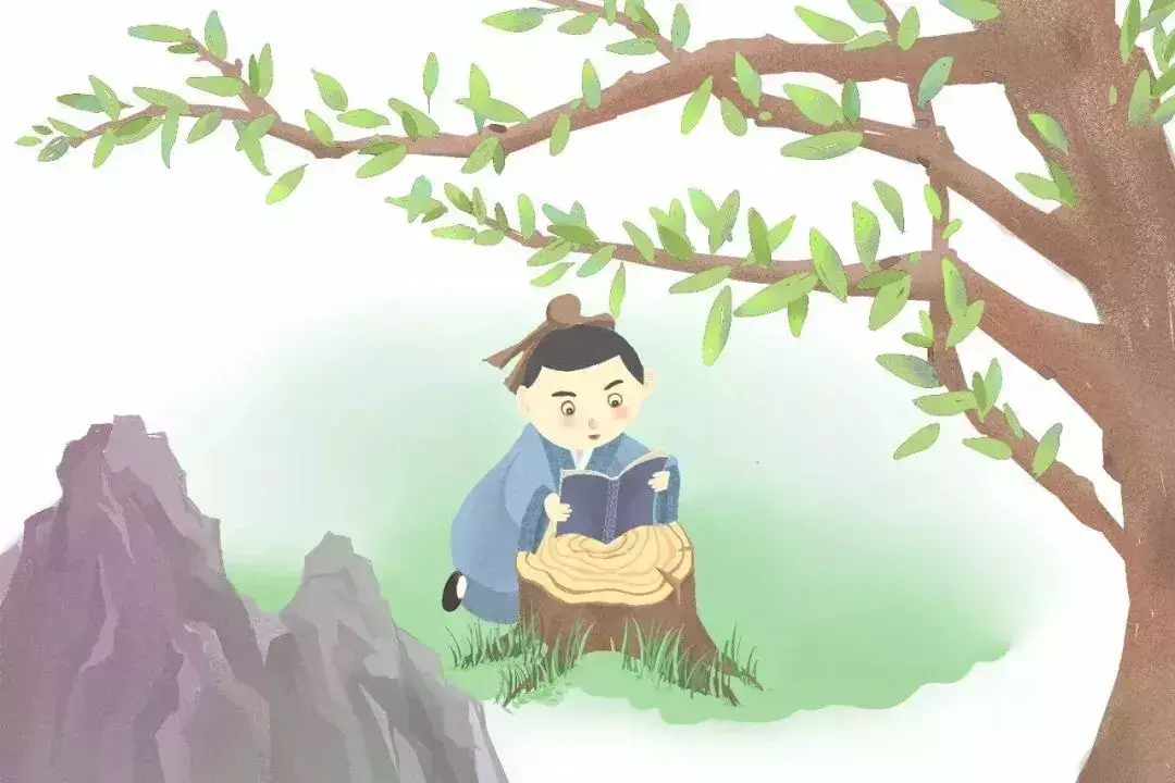 怎么鑒別珍珠的真假(怎么識(shí)別珍珠的真假呢?)