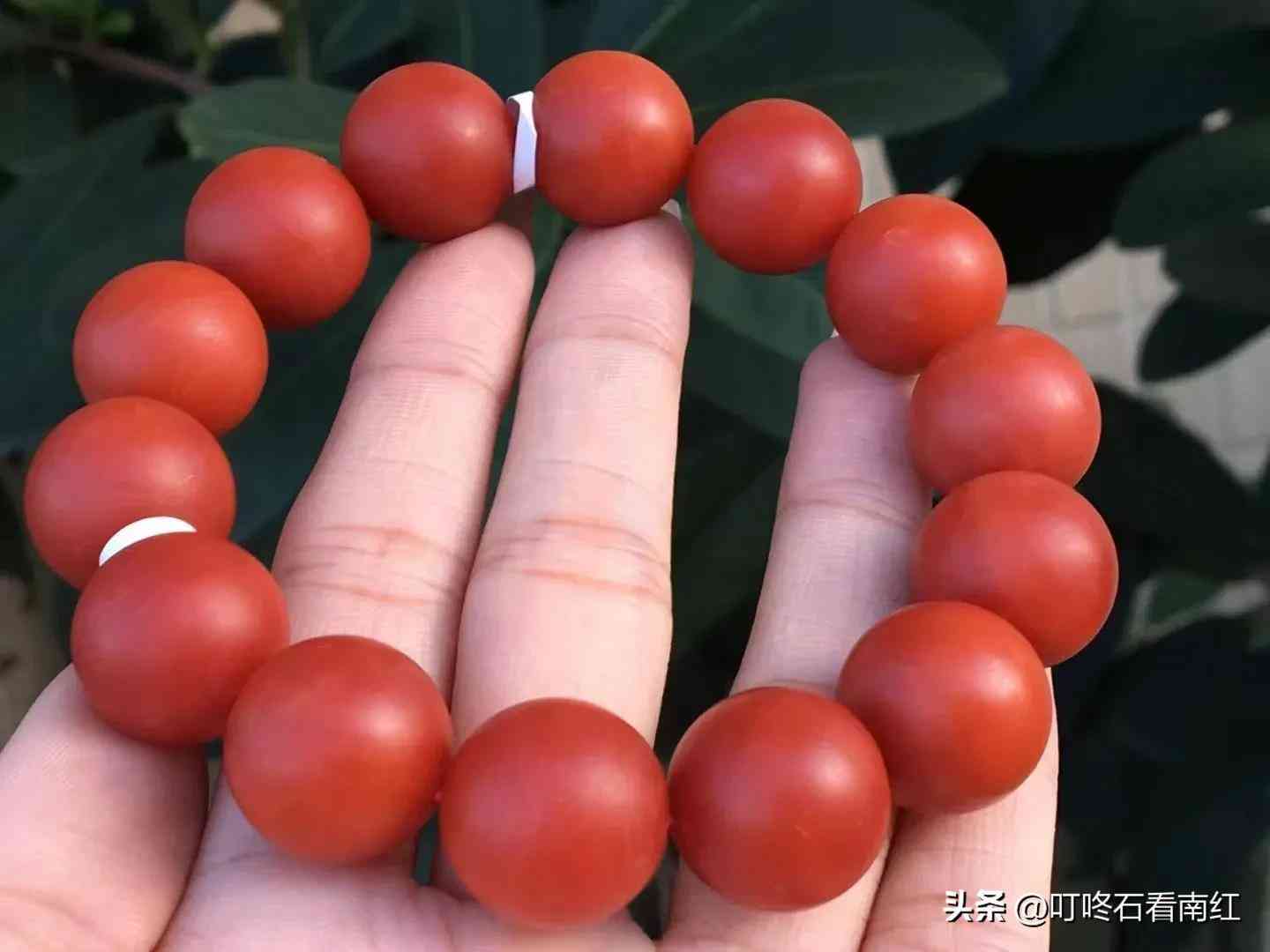 戰(zhàn)國(guó)紅和南紅的區(qū)別(戰(zhàn)國(guó)紅和南紅哪個(gè)價(jià)格高)