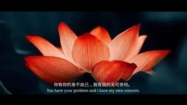 琥珀是怎么形成的過(guò)程(琥珀是怎么形成的過(guò)程50字)