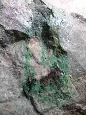 假翡翠和真翡翠照片(假翡翠和真翡翠區(qū)別)