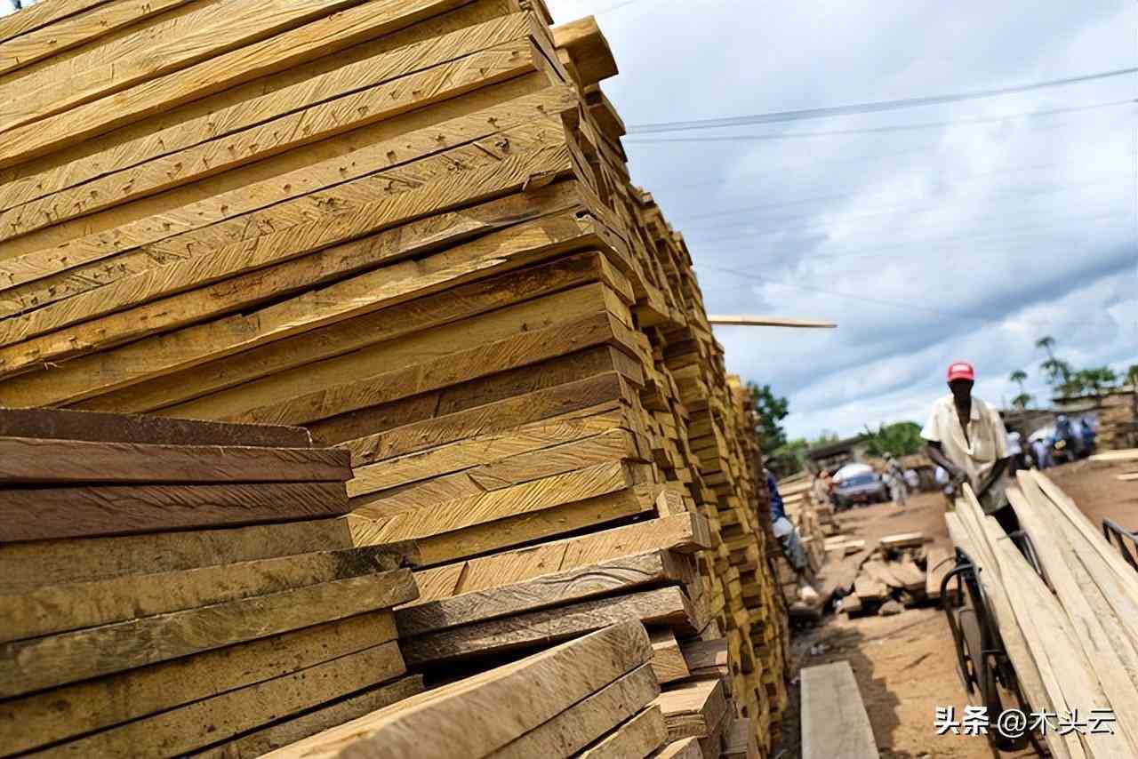 小葉紫檀有什么功效(小葉紫檀有什么功效女士)