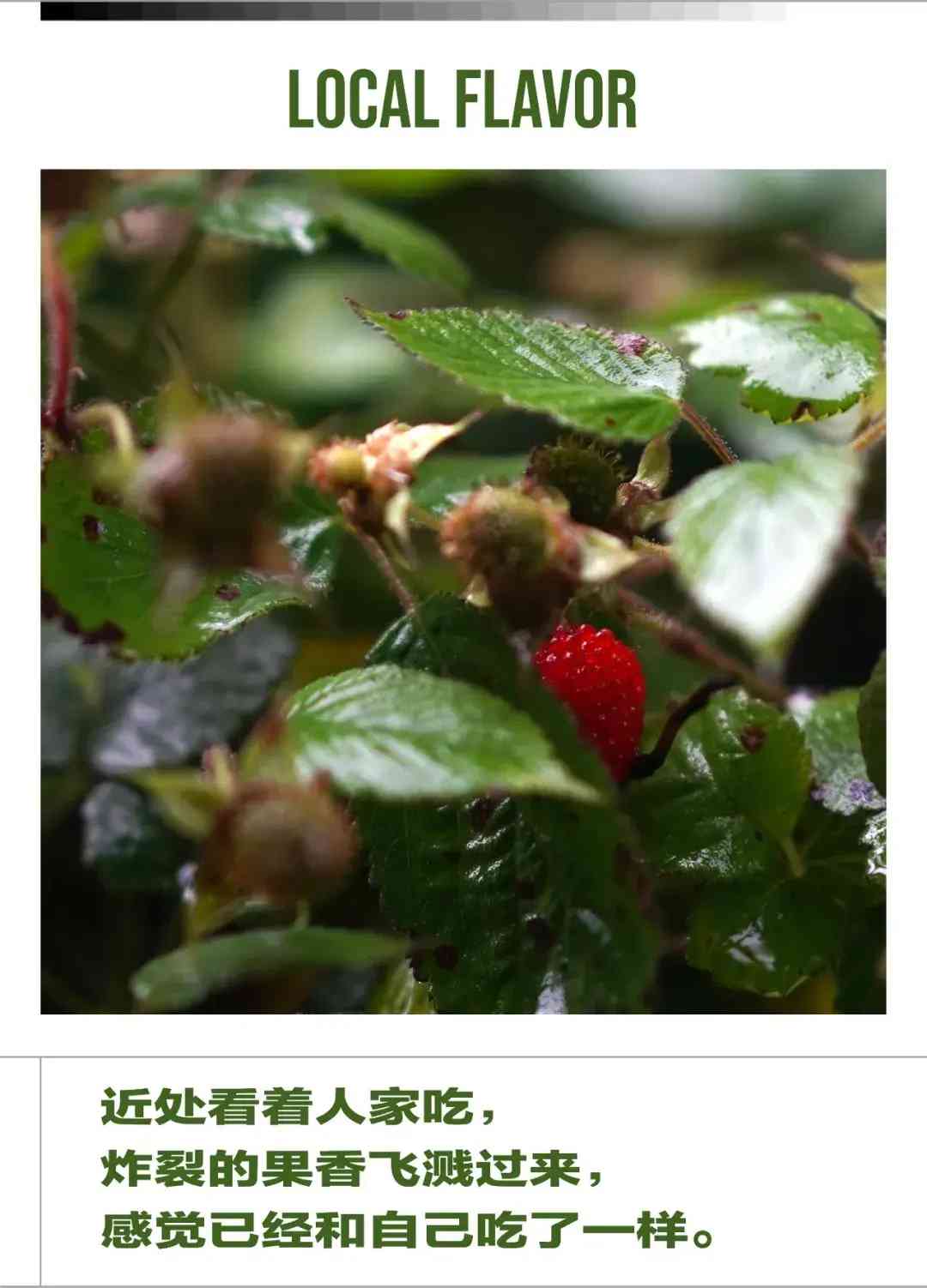 瑪瑙手鐲一般多少錢一只(白色瑪瑙手鐲一般多少錢)