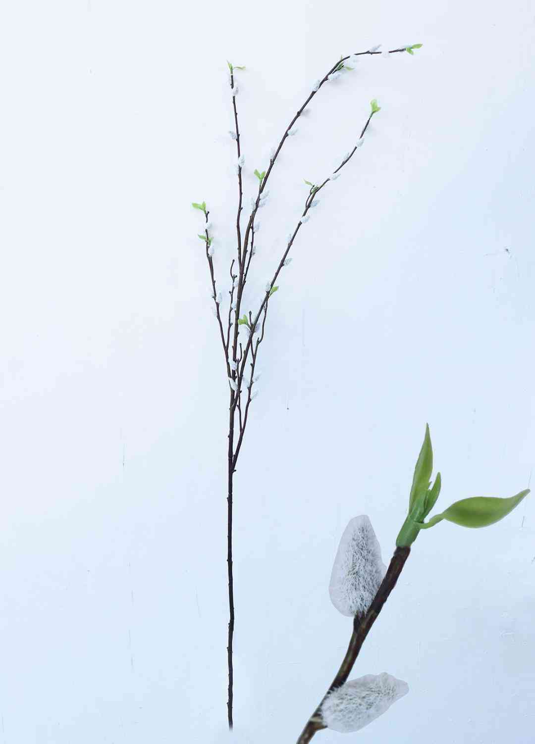 為什么銀手鐲要戴左手(為什么銀手鐲要戴在左手上)