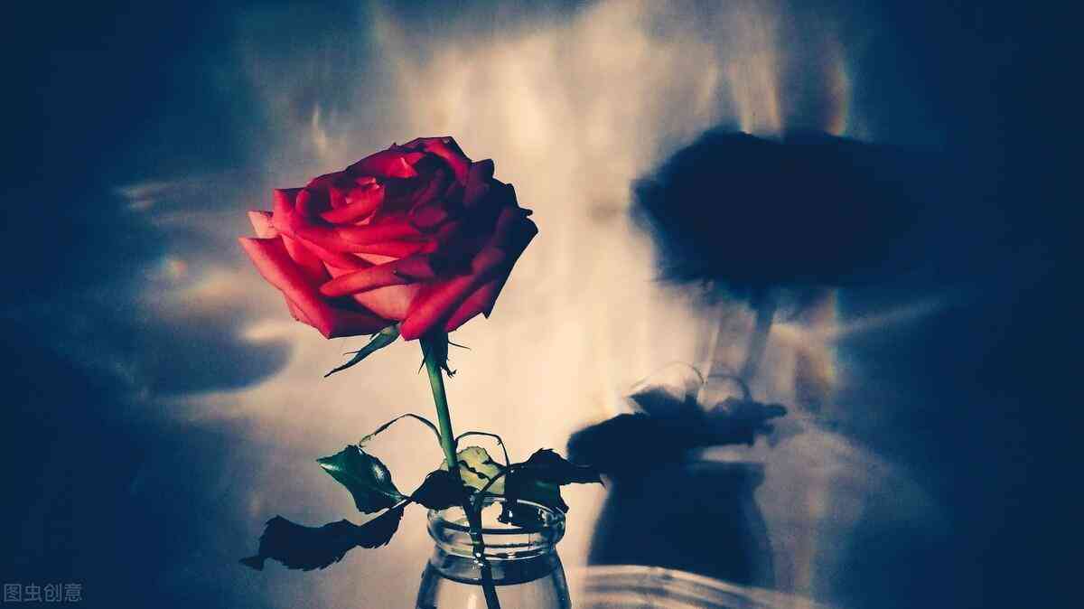 抖音最火的結(jié)婚紀(jì)念日的句子(抖音最火的結(jié)婚紀(jì)念日的句子十年)