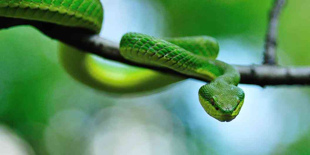 腳鏈的戴法及佩戴禁忌(腳鏈的寓意和象征)