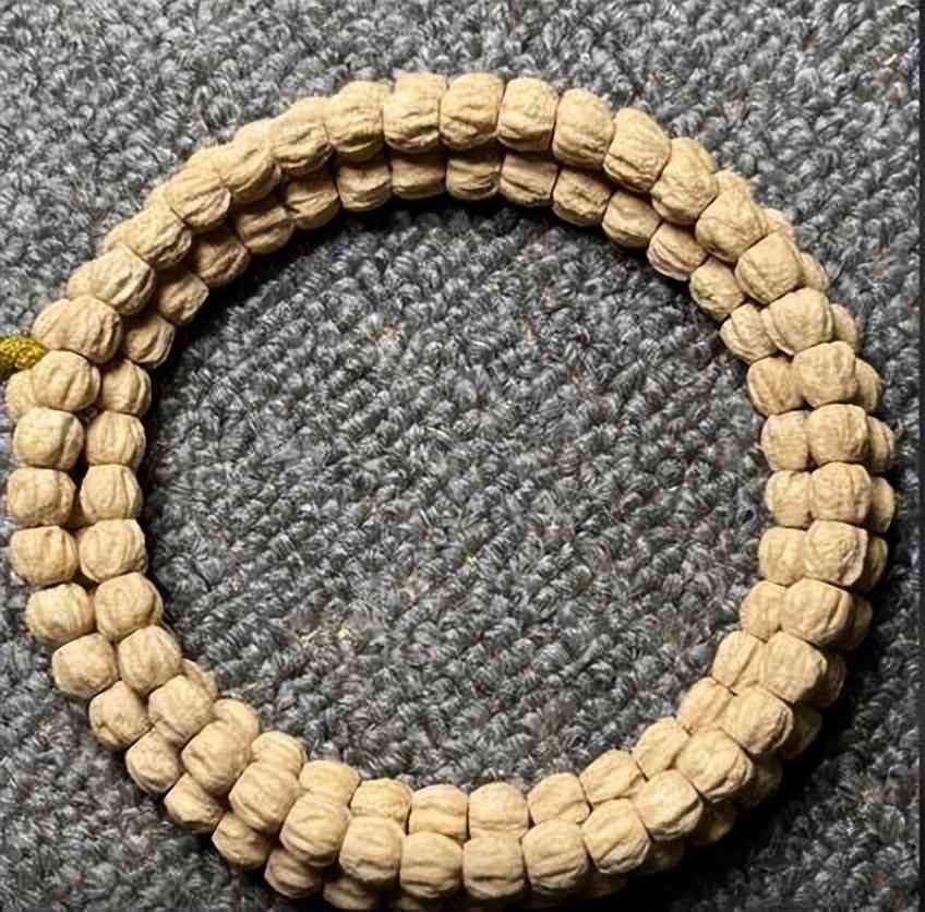 金剛菩提子幾瓣的好價格表(金剛菩提幾瓣值錢)