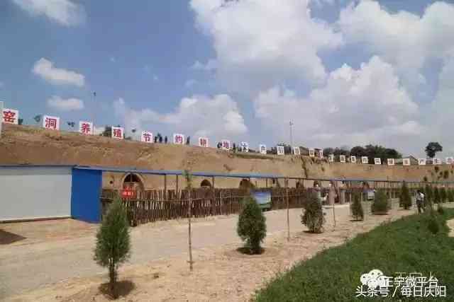 金發(fā)晶的功效與禁忌(金發(fā)晶什么功效)