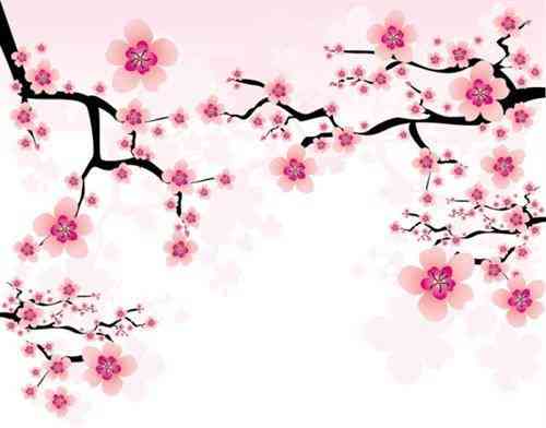 女人戴什么水晶最辟邪(女人必帶的十種水晶)