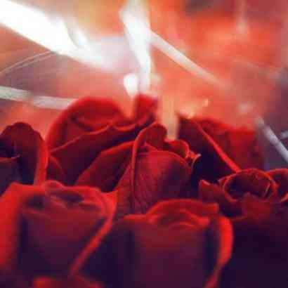 女生過生日應(yīng)該送什么禮物(女生過生日應(yīng)該送什么禮物?)