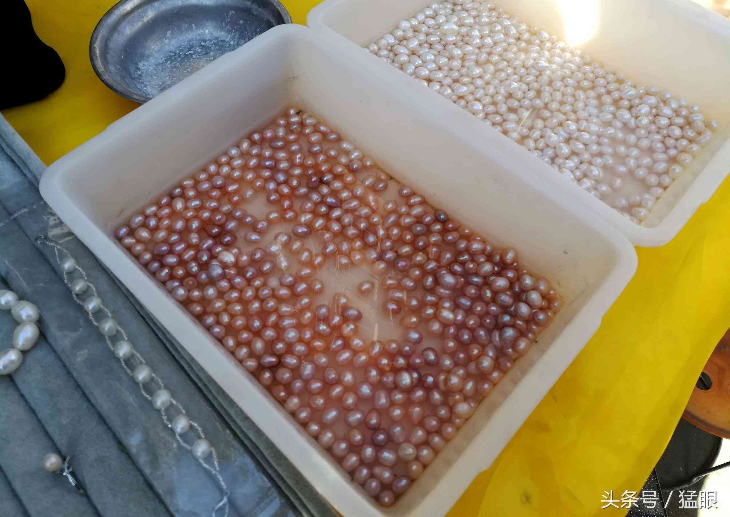 老人街頭賣北海珍珠，一顆兩元現(xiàn)撥現(xiàn)賣現(xiàn)加工，市民圍觀只看不買