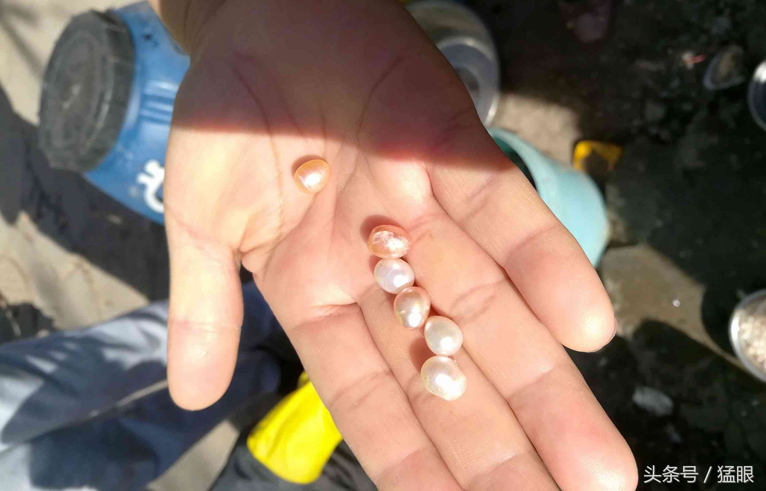 老人街頭賣北海珍珠，一顆兩元現(xiàn)撥現(xiàn)賣現(xiàn)加工，市民圍觀只看不買