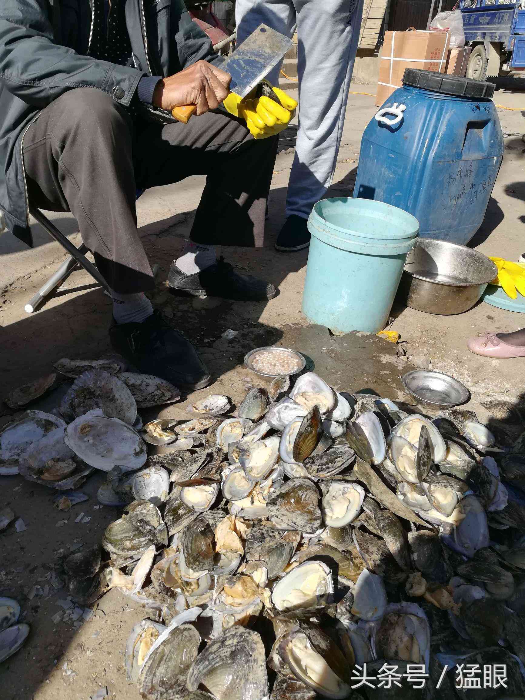 老人街頭賣北海珍珠，一顆兩元現(xiàn)撥現(xiàn)賣現(xiàn)加工，市民圍觀只看不買