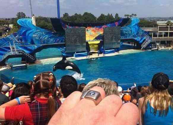 直擊火葬后骨灰變鉆石的現(xiàn)場照