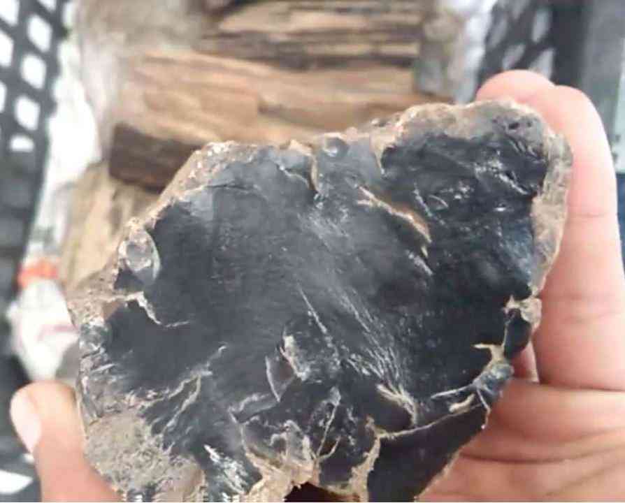 什么樣的樹化玉原石比較稀有