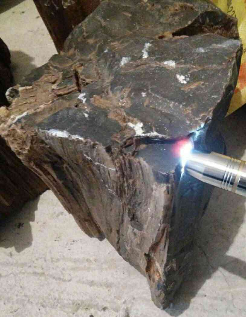 什么樣的樹化玉原石比較稀有