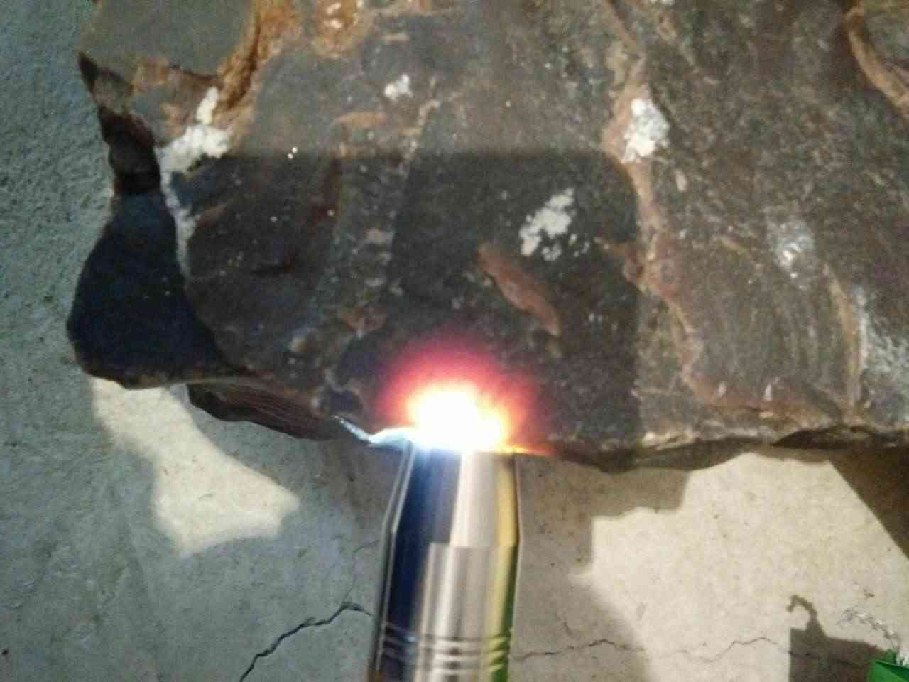 什么樣的樹化玉原石比較稀有