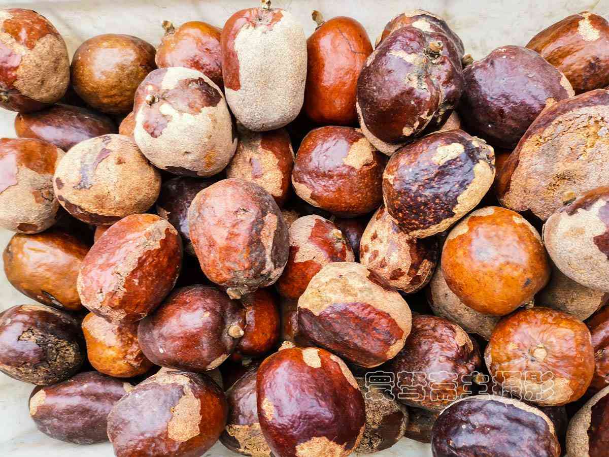 想知道“千眼菩提”是一種什么樣的文玩飾品么，那就來這里看看吧