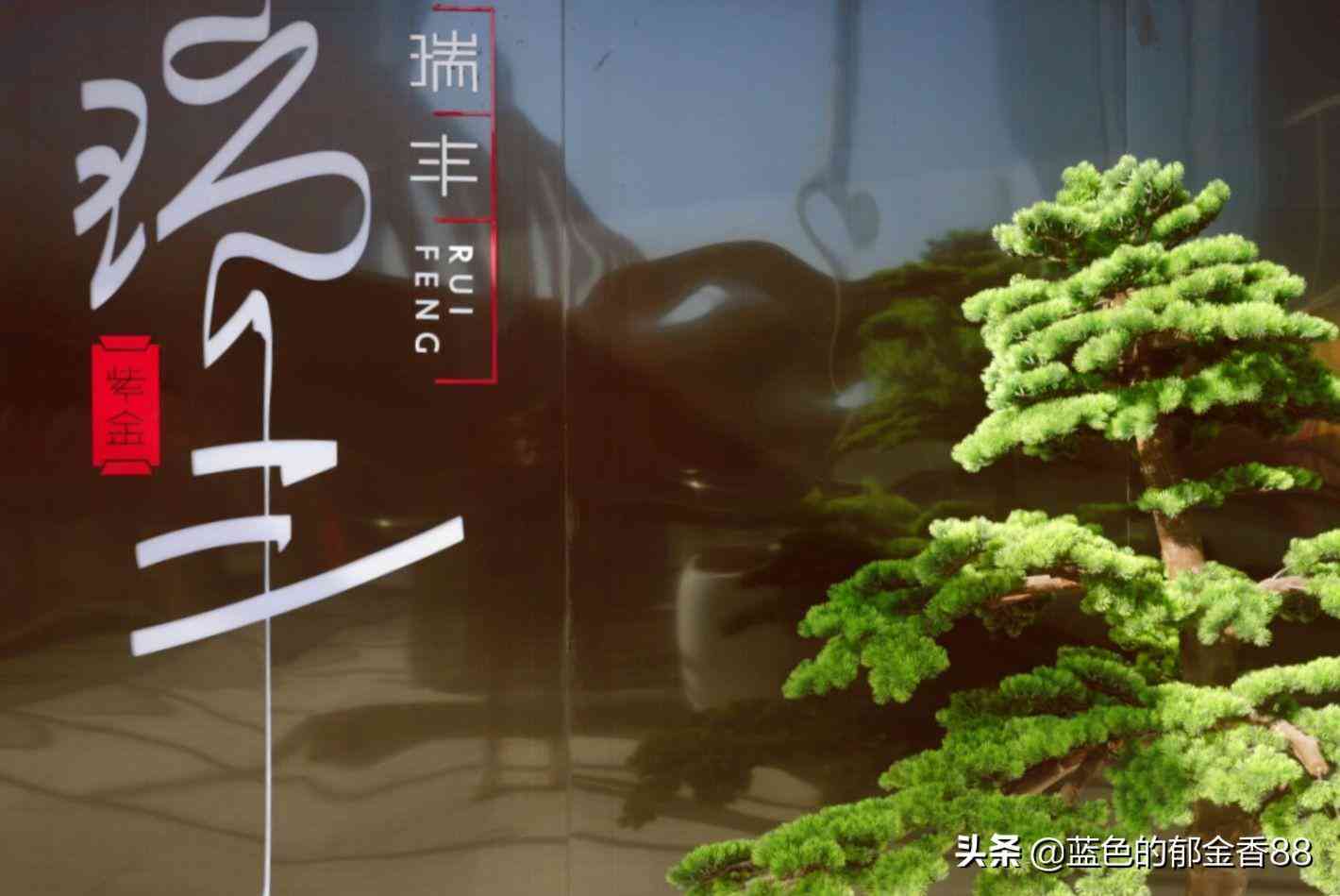 瀘定化妝品店在哪里呢最近(瀘州美妝店)