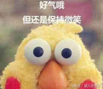 圣羅蘭化妝品正品多少錢(圣羅蘭化妝品正品多少錢一套)