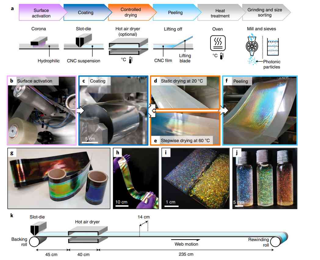 化妝品降解材料(化妝品降解材料有哪些)