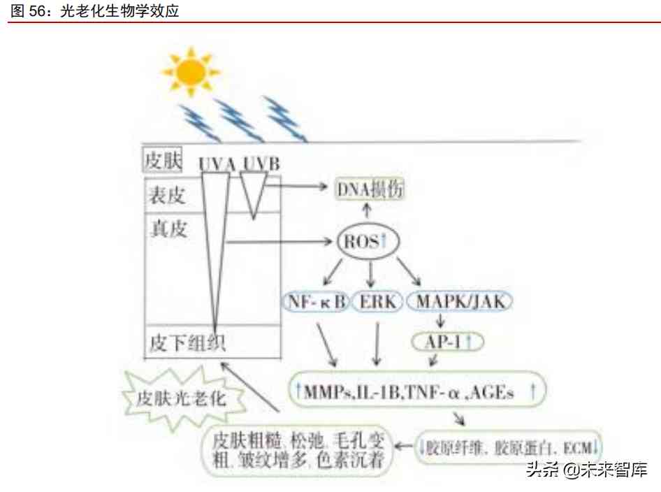 中國化妝品原材料市場調(diào)查(中國化妝品原材料市場調(diào)查研究)插圖21