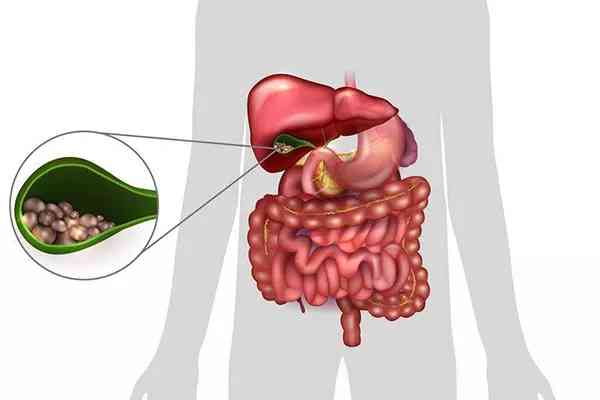 化妝品中魚(yú)子醬含雌激素嗎(很多護(hù)膚品里都說(shuō)含有魚(yú)子醬,這是真的嗎)插圖4