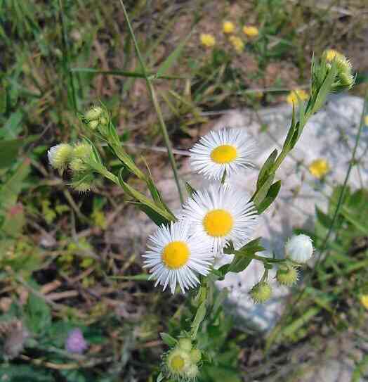 城陽家佳源化妝品招聘(城陽家佳源電話號碼)插圖11