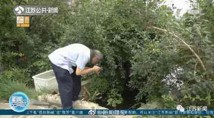 甲殼先生的化妝品咋樣(甲殼素化妝品怎么樣)