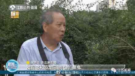 甲殼先生的化妝品咋樣(甲殼素化妝品怎么樣)插圖4