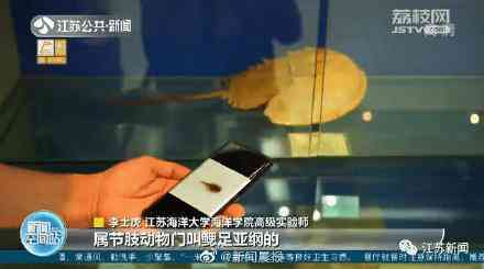 甲殼先生的化妝品咋樣(甲殼素化妝品怎么樣)插圖5