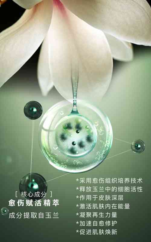 詩臻泊化妝品排名第幾(上海詩臻泊化妝品有限公司)插圖10