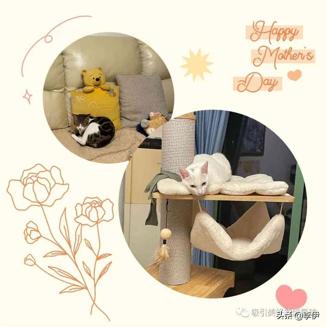 深圳化妝品濾袋市場價(jià)(深圳化妝品報(bào)價(jià))插圖1