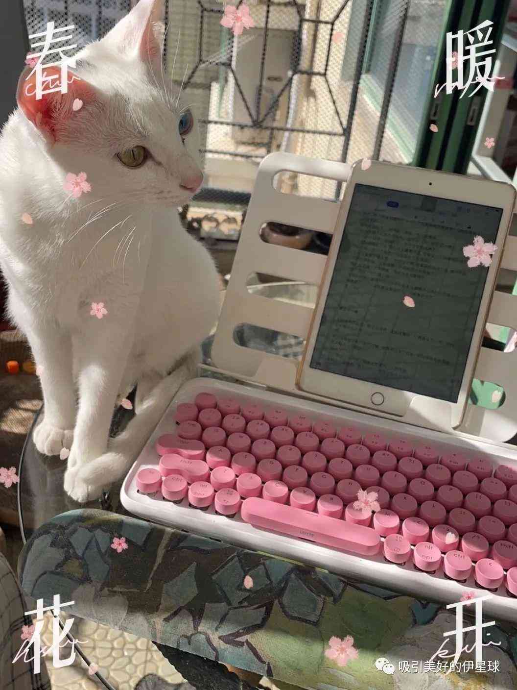 深圳化妝品濾袋市場價(jià)(深圳化妝品報(bào)價(jià))插圖3