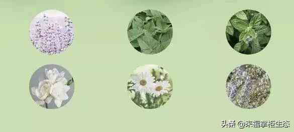 老虎是什么牌子化妝品(黑老虎化妝品)插圖5