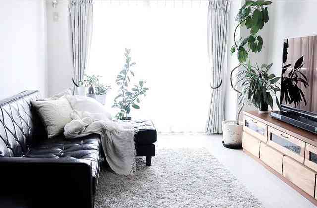 化妝品極簡收納盒圖片真實(收納盒化妝盒)插圖10