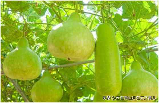 做會計的去賣化妝品怎么樣(到賣化妝品的店里做護膚好嗎)