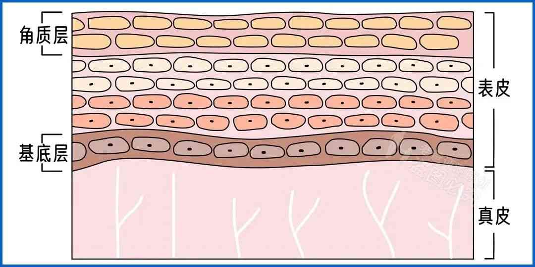 什么化妝品對臉有傷害(化妝品對臉的皮膚真的有好處嗎)插圖11