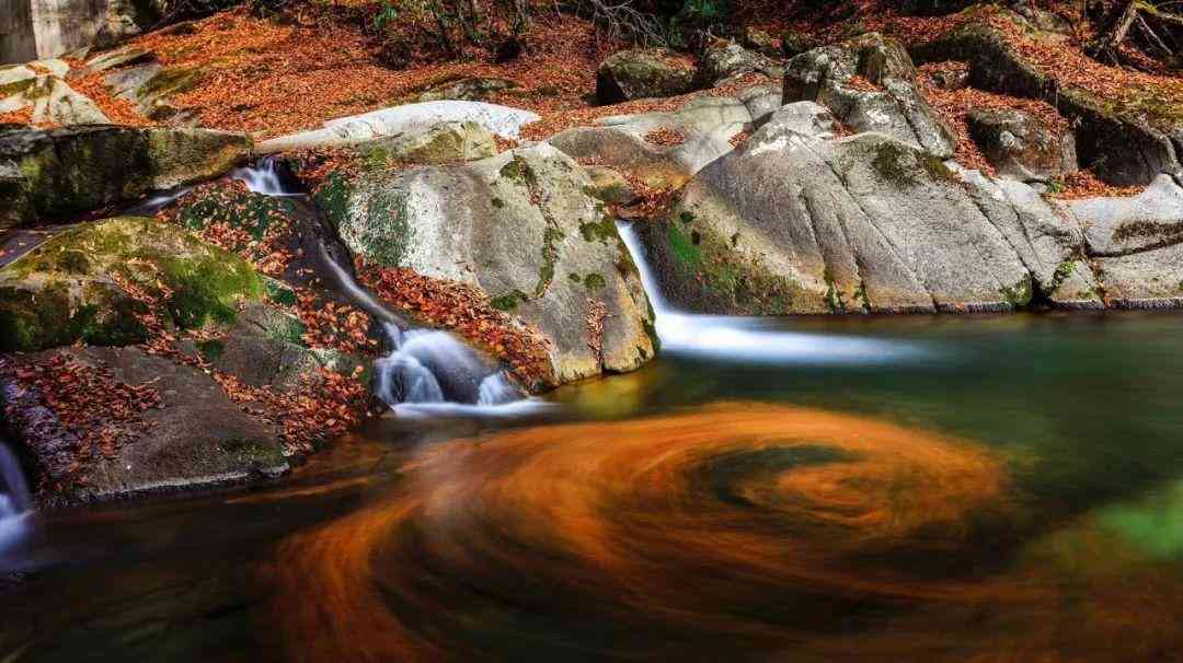 布袋子化妝品收納(化妝品收納盒家用)插圖2