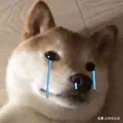 用含激素的化妝品的危害(用含激素的化妝品有什么危害)插圖4