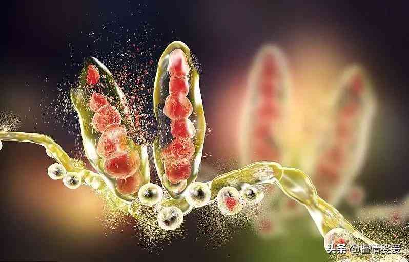 用含激素的化妝品的危害(用含激素的化妝品有什么危害)插圖5