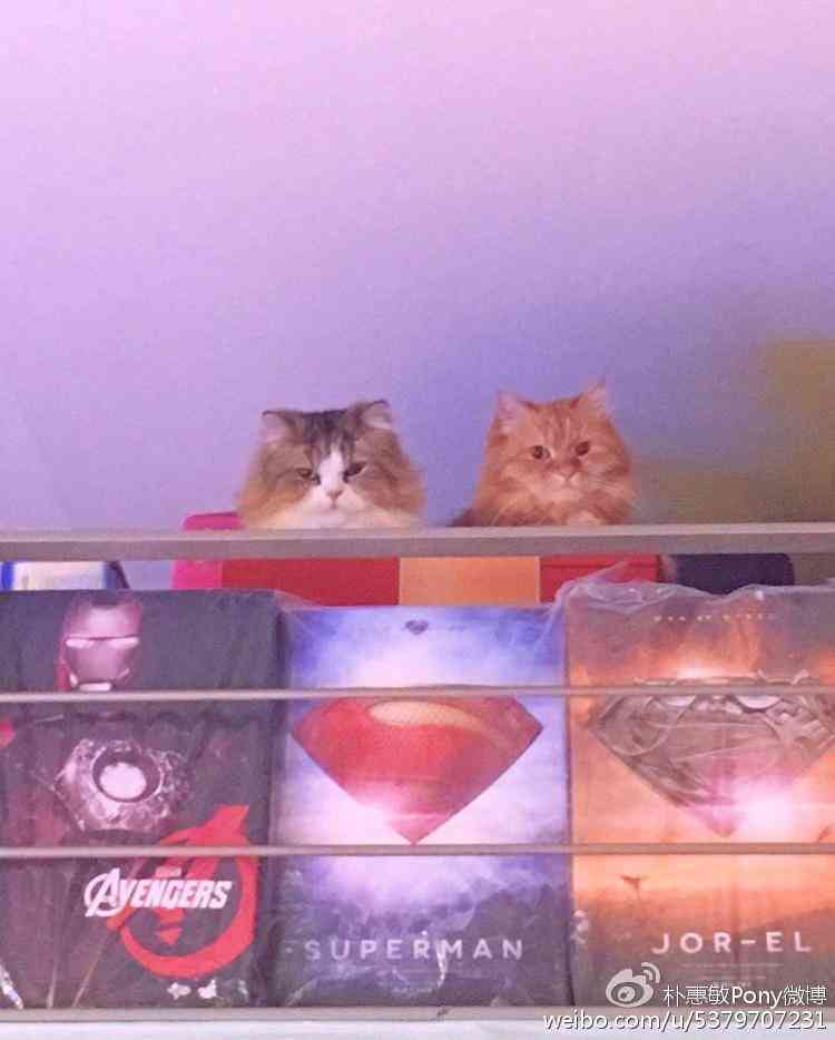 雅芳化妝品順序推薦表(雅芳化妝品順序推薦表圖片)插圖4