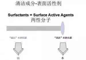 化妝品里有什么(化妝品里有什么成分不能用)插圖3