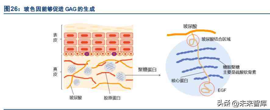 化妝品超聲波提取過(guò)程(化妝品提取技術(shù))插圖5