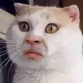 涿州化妝品代購(涿州化妝品代購店)插圖2