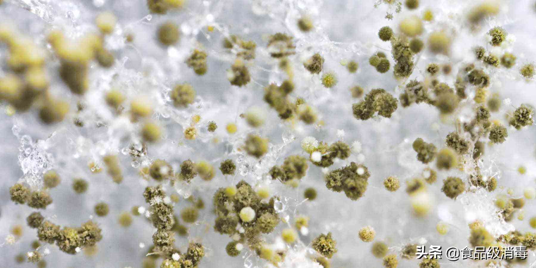 化妝品可以在水里消毒嗎(消毒水可以擦皮膚嗎)插圖1