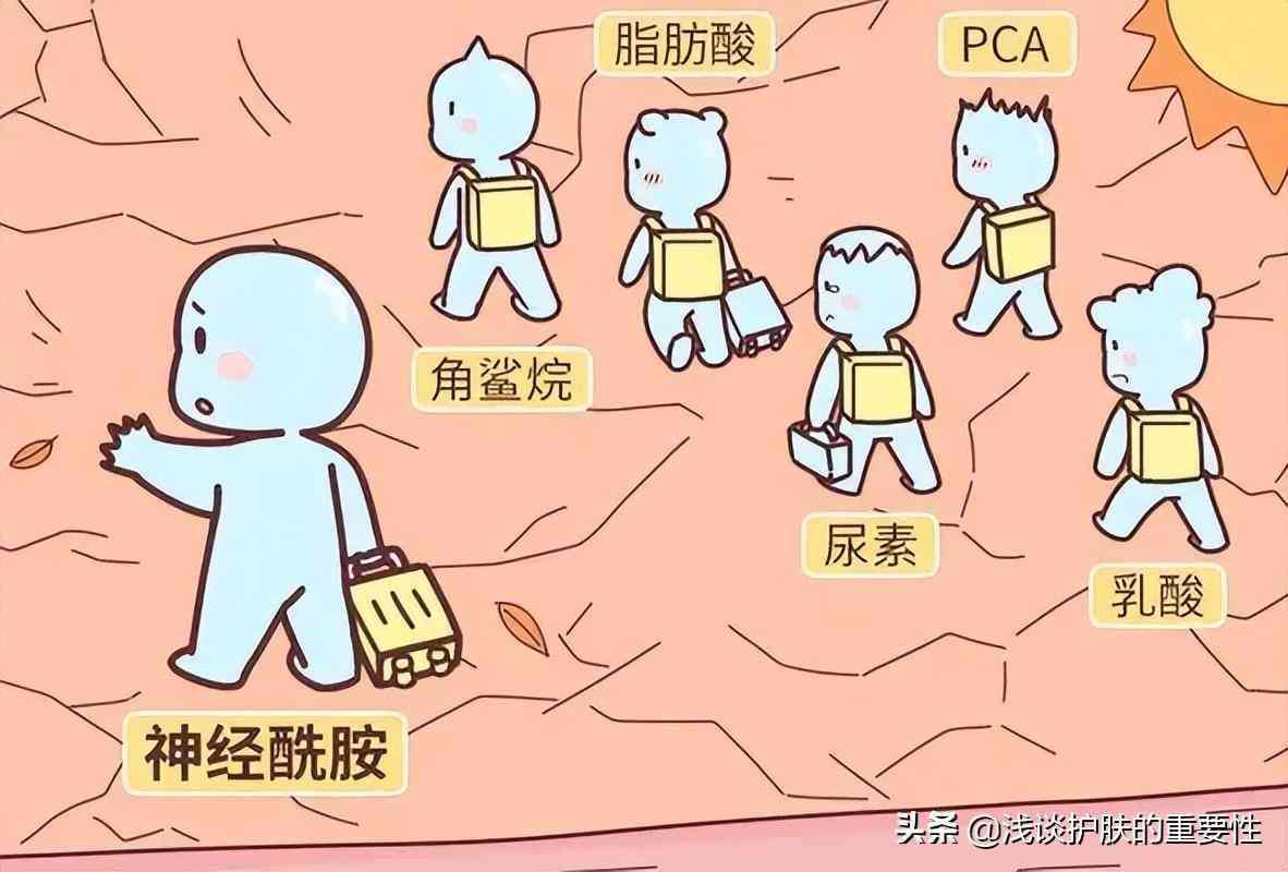 化妝品補(bǔ)水型和保濕型(化妝品補(bǔ)水和保濕的區(qū)別)插圖1