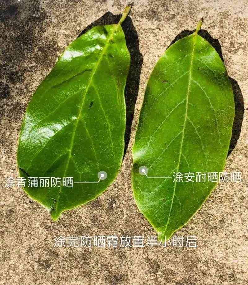 什么是可以一起用的化妝品(各種品牌的化妝品可以一起用嗎)插圖14